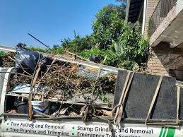 Best Same-Day Junk Removal Services  in Reedsburg, WI